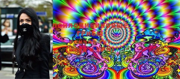 прущая мука Аркадак